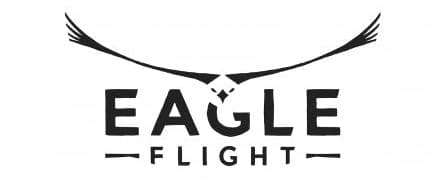 Логотип Eagle Flight