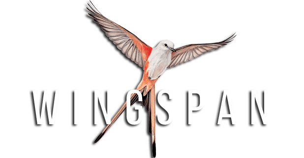 Логотип WINGSPAN (КРЫЛЬЯ)