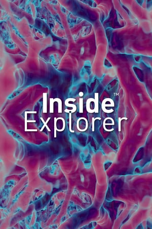 Inside Explorer