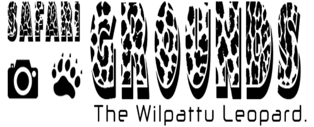 Логотип Safari Grounds - The Wilpattu Leopard