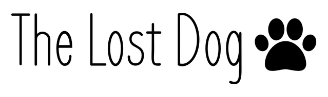 Логотип The Lost Dog