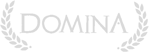 Логотип Domina