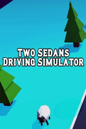 Two Sedans Driving Simulator