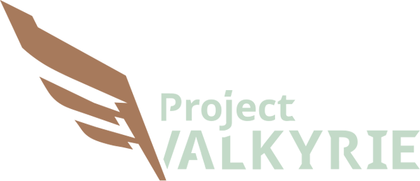 Логотип Project Valkyrie