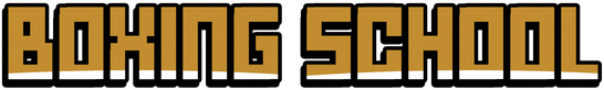 Логотип Boxing School