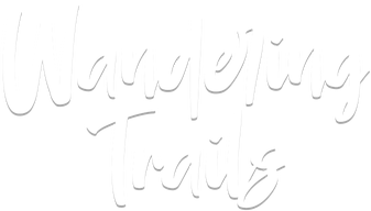 Логотип Wandering Trails: A Hiking Game